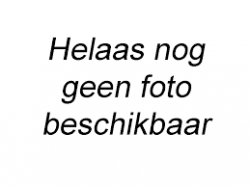 Imke Toenink